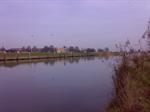 Feeder beslissend op mistige zaterdagmorgen aan het Voornse Kanaal.