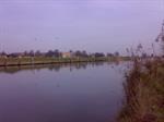 Blauwbekken aan het Voornse kanaal.